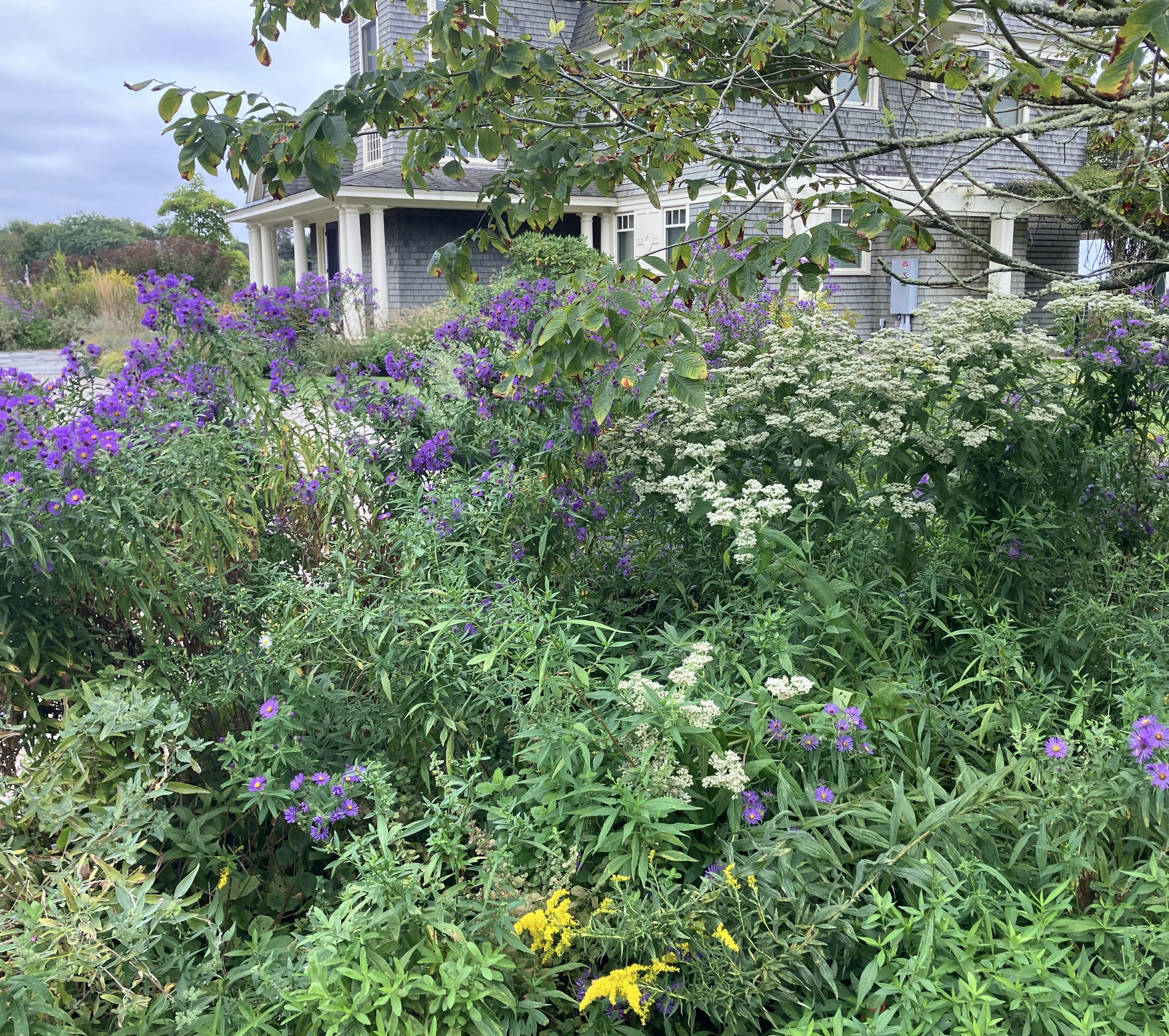 Native Landscapes